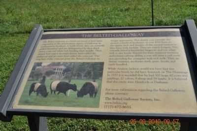 The Belted Galloway Marker image. Click for full size.
