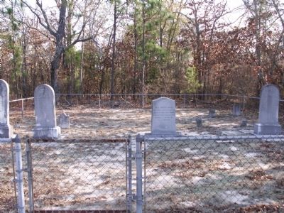 Area view of the thirteen moved graves image. Click for full size.
