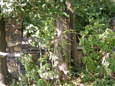 Dense terrain in this area partially conceals abandoned park. image. Click for full size.