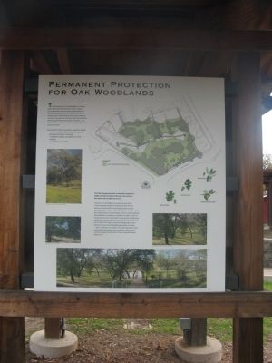 Permanent Protection for Oak Woodlands - Panel 3 image. Click for full size.