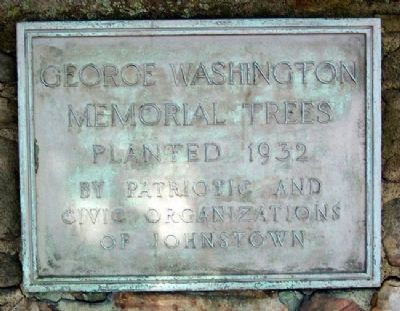 George Washington Memorial Trees Marker. Click for full size. George Washington Memorial Trees Marker image. Click for full size.