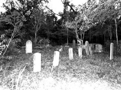 Cook's Old Field Cemetery. Click for full size. Cook's Old Field Cemetery image. Click for full size.