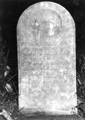 Cook's Old Field Cemetery. Click for full size. Cook's Old Field Cemetery image. Click for full size.