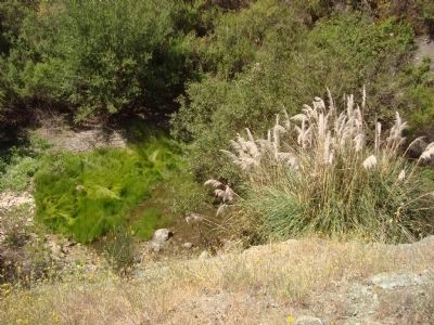 Remains of the Old Swimming Hole. Click for full size. Remains of the Old Swimming Hole image. Click for full size.