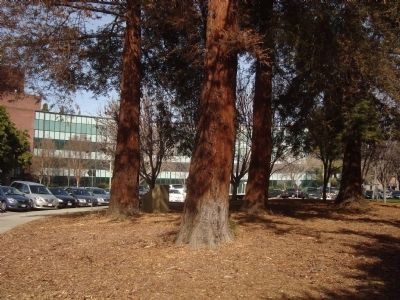 First Site of El Pueblo de San Jose de Guadalupe Marker. Click for full size. First Site of El Pueblo de San Jose de Guadalupe Marker image. Click for full size.