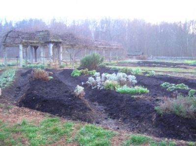 Community Garden (in Winter) image. Click for full size.