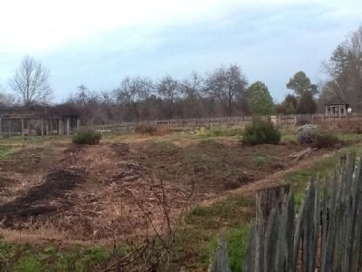 Community Garden (in Winter) image. Click for full size.