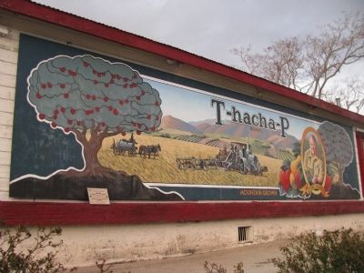 T-Hacha-P Brand Mural Marker. Click for full size. T-Hacha-P Brand Mural Marker image. Click for full size.