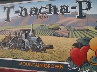 T-Hacha-P Brand Mural. Click for full size. T-Hacha-P Brand Mural image. Click for full size.
