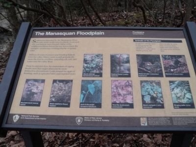 The Manasquan Floodplain Marker. Click for full size. The Manasquan Floodplain Marker image. Click for full size.