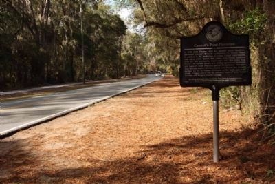 Cannon's Point Plantation Marker, looking north on Lawrence Road image. Click for full size.