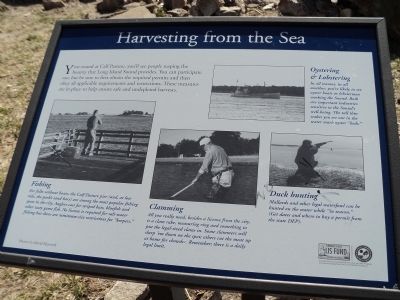 Harvesting from the Sea Marker. Click for full size. Harvesting from the Sea Marker image. Click for full size.