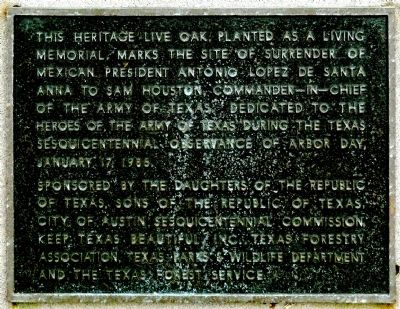 Site of Surrender of Santa Anna Marker image. Click for full size.