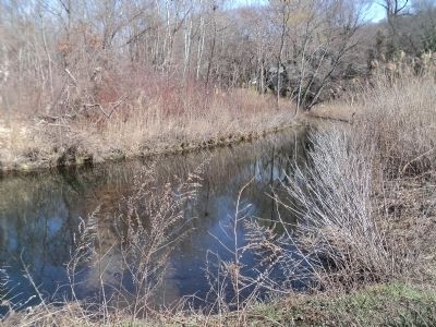 The Wading Place Creek image. Click for full size.