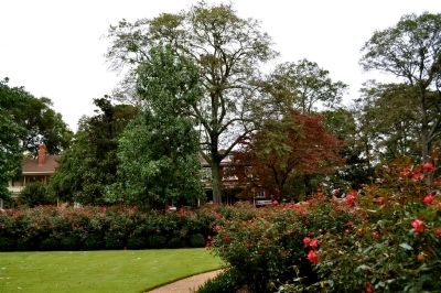 Rose garden image. Click for full size.