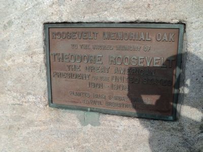 Roosevelt Memorial Oak Marker image. Click for full size.