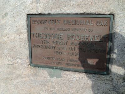 Roosevelt Memorial Oak Marker. Click for full size. Roosevelt Memorial Oak Marker image. Click for full size.
