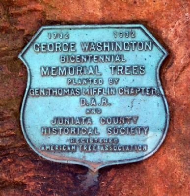 Juniata County Courthouse Memorial Trees Marker image. Click for full size.
