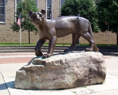 Altoona Area High School Mountain Lion image. Click for full size.