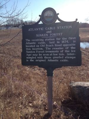 Atlantic Cable Station and Sunken Forest Marker image. Click for full size.