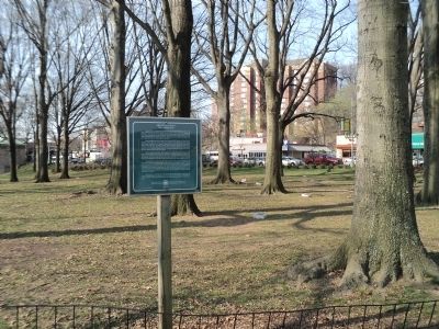 Memorial Grove Marker image. Click for full size.