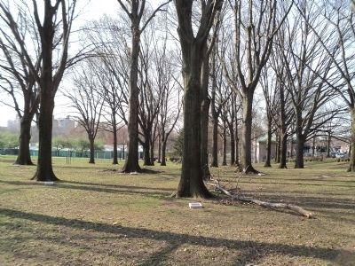 Plaques in Memorial Grove image. Click for full size.
