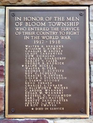 Bloom Township War & Veterans Memorial WWI image. Click for full size.