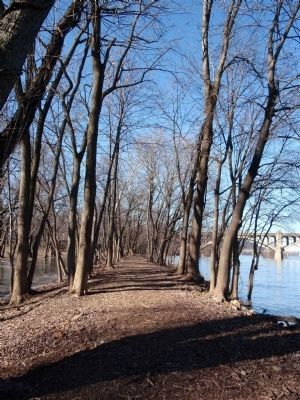 Towpath on the Susquehanna and Tidewater Canal, Wrightsville image. Click for full size.
