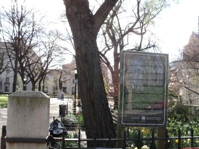 Sakura Park Marker. Click for full size. Sakura Park Marker image. Click for full size.