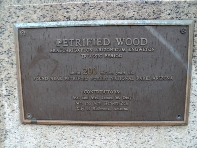 Petrified Wood Marker image. Click for full size.