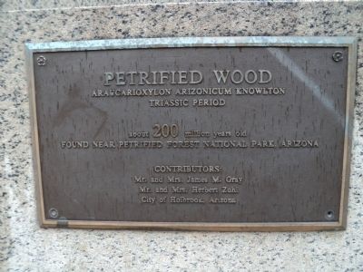 Petrified Wood Marker. Click for full size. Petrified Wood Marker image. Click for full size.