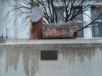 Petrified Wood Marker. Click for full size. Petrified Wood Marker image. Click for full size.