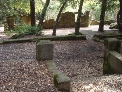 Ruins of the Henry Miller Summer Home image. Click for full size.