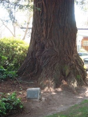 Berkeley Veterans Memorial Grove Marker #1 image. Click for full size.