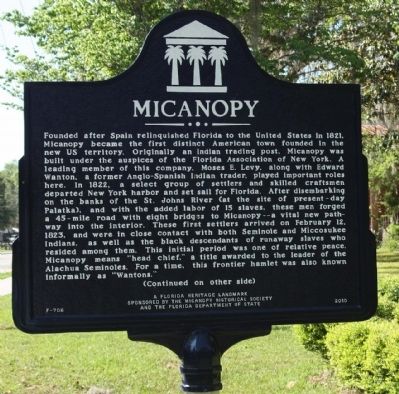 Micanopy Marker image. Click for full size.