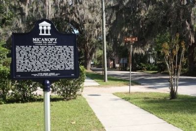 Micanopy Marker, looking east image. Click for full size.