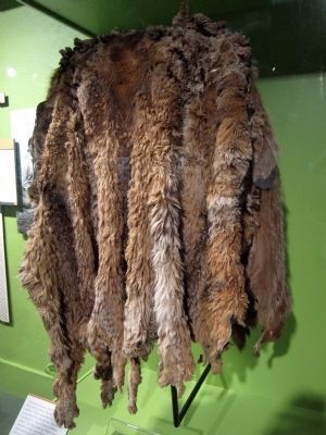 Fur cape blanket, belonging to Ishi's family. Yahi - early 20th Century image. Click for full size.
