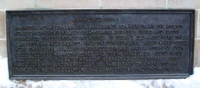 Mammuthus Columbi Marker. Click for full size. Mammuthus Columbi Marker image. Click for full size.