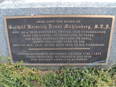 Gotthilf Heinrich Ernst Muhlenberg, S.T.B. Marker. Click for full size. Gotthilf Heinrich Ernst Muhlenberg, S.T.B. Marker image. Click for full size.