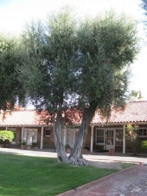 Left courtyard. image. Click for full size.
