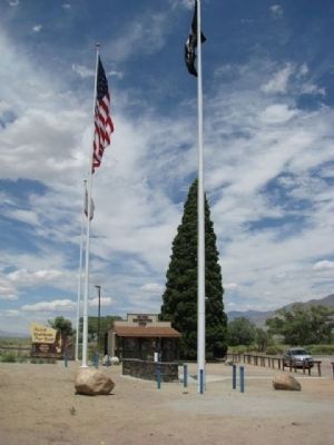 The Roosevelt Tree and Veterans Memorial image. Click for full size.