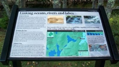 Linking oceans, rivers and lakes Marker. Click for full size. Linking oceans, rivers and lakes Marker image. Click for full size.