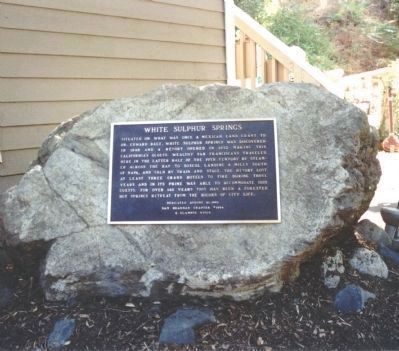 White Sulphur Springs Marker image. Click for full size.