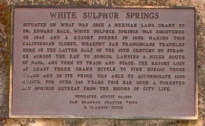White Sulphur Springs Marker image. Click for full size.