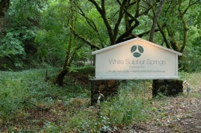 White Sulphur Springs Sign image. Click for full size.
