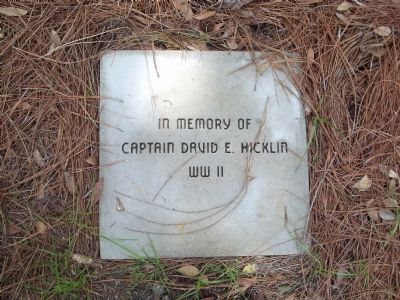 In memory of Captain David E. Hicklin WWII image. Click for full size.
