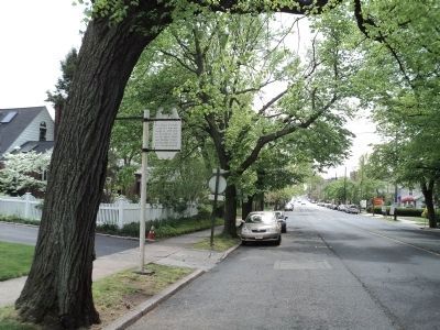 Marker on Broad Avenue. Click for full size. Marker on Broad Avenue image. Click for full size.