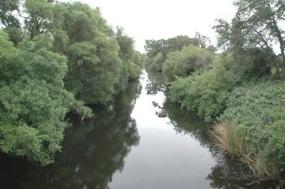 Sonoma Creek image. Click for full size.