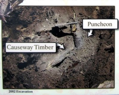 2002 Excavation image. Click for full size.
