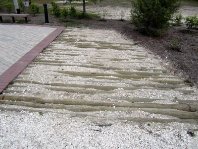 Timbers underlying the causeway road bed. image. Click for full size.